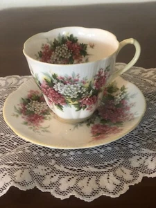 Royal Albert Blossom Time Series Hawthorn Cup & Saucer Bone China England - Picture 1 of 9