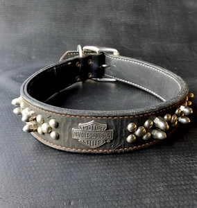 Harley Davidson Black Leather Studded 24“Pet Collar - Picture 1 of 9
