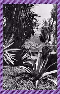 Cpsm - Garten Exotic von Monaco - Bild 1 von 2