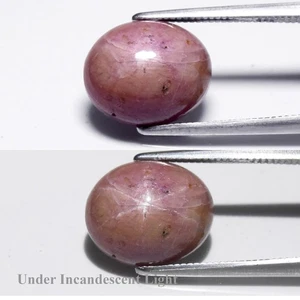 💎 7.30ct Oval Cabochon Purplish Red 6 Ray Star Ruby - Heated Glass Filling Gem - Picture 1 of 6