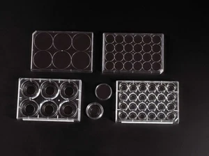 Piastra coltura tessuto fondo vetro 20 mm con coperchio, 6 pozzetti, singola, sterile-EXP - Foto 1 di 1