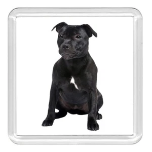 Staffordshire Bull Terrier Dog Acrylic Coaster Novelty Drink Cup Mat Great Gift - Picture 1 of 1
