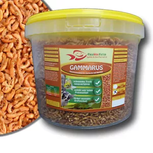 Gammarus Bachflohkrebse 3L Eimer 300 g Futter Schildkröten Reptilien Fische - Bild 1 von 1