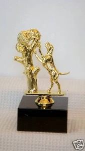COON DOG TROPHY, RACCOON IN TREE, HUNTING TROPHY - Bild 1 von 2