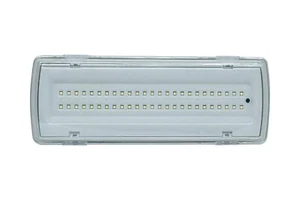 Lampada Di Emergenza Con 50 Led Completa Di Incasso + Batteria Luce Bianca 4 W - Foto 1 di 2