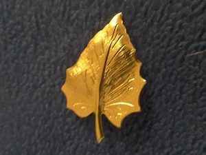 Vintage Gold Tone Ornate  Leaf Brooch  "Nice" - Picture 1 of 3