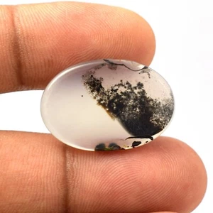 13.75 Cts Natural Scenic Dendrite Agate Cabochon Gemstone Free Form VG732 - Picture 1 of 3