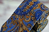 JZ Richards Men's Tie Sapphire Blue Copper Gold Paisley Luxury Silk Necktie