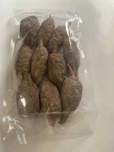 Alligator Pfefferschoten/Atakou/Paradieskorn/Mbongo. (10 Jumbo Pods) - Bild 1 von 2