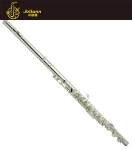 Alto Flute ,It Only Has A Straight Flute Head Promotion!! - Picture 1 of 8