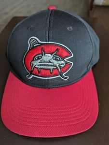 Minor League Baseball Raised Replica Hat Carolina Mudcats Style MIN 350 Adult - Picture 1 of 5