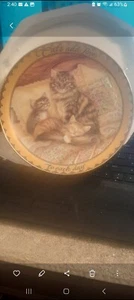 Vintage 1996 Bradford Exchange- Sitting Pretty - Cats & Kitten Plate Series-2nd - Picture 1 of 2