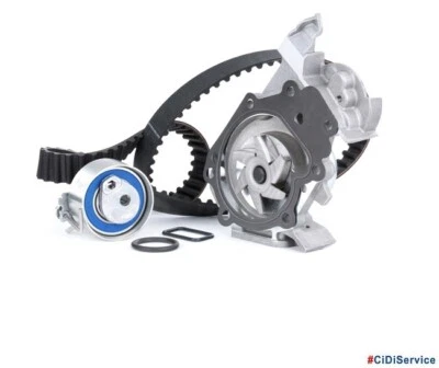 Kit Distribuzione + Pompa Acqua INA Renault Clio Modus Twingo Dacia 1.2 16V - Imagen 1 de 3