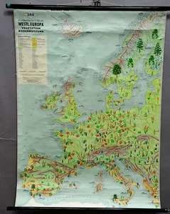 Cartolina murale n. 921 Westl. Europa vegetazione uso del suolo retrò quadro a rullo - Foto 1 di 1