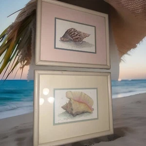 2pc Set Framed Wall Art Prints Picture Seashells. - Picture 1 of 10