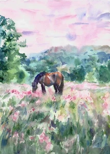original painting 30 x 40 cm 19PtA artwork watercolor horse in the meadow - Picture 1 of 3
