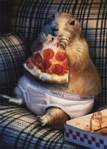 Birthday Greeting Card - Prairie Dog in Underwear - Picture 1 of 2