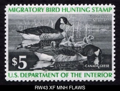 RW43 XF MNH FLAWS 1976 Canada Geese US Federal Duck Stamp Migratory Waterfowl - Image 1 of 4