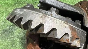 ✅✅✅ 38311G9840 differenzial hinten für NISSAN TERRANO TERRANO II (R20) SE 382044 - Bild 1 von 7