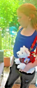 West Highland Terrier shaped shoulder hand bag by Faithful Friends Collectables - Picture 1 of 11