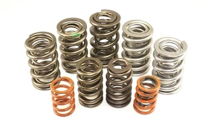 Isky Racing Cams VWE005 Valve Spring Set Fits 46-67 Anglia - Bild 1 von 5