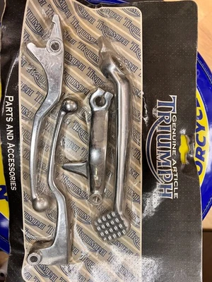 A9738041 JUEGO DE PALANCAS CROMADAS TRIUMPH T-100 CARB ERA PIE Y MANIJAS Foto 1 de 2