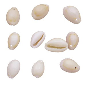 10PCS 15mm-22mm Natural Beige Sea Shell Conch Pendant Earring Jewelry Making DIY - Picture 1 of 4