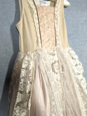 Fairy Princess Dress Girls XL Velvet Lace Tulle Embroidery Fairy Play Dress Up - Image 1 of 4