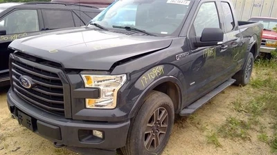 *SOLO RECOGIDA LOCAL* Guardabarros del conductor con moldura de labio de rueda para Ford F150 P 15-20 Foto 1 de 4