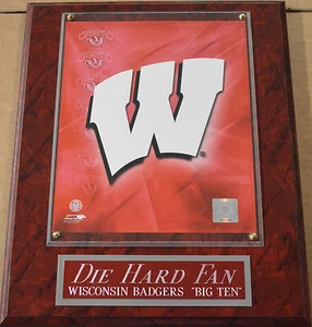 DIE HARD FAN WISCONSIN BADGERS FRAMED 8X10 PHOTO-MAN CAVE ART-12X15 WALL PLAQUE - Picture 1 of 3