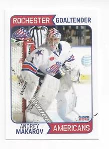 2014-15 Rochester Americans (AHL) Andrey Makarov (goalie) - Picture 1 of 1