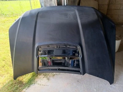 2017-2020 FORD F150 RAPTOR HOOD UNPAINTED NO SHIPPING NO SHIPPING Foto 1 de 4