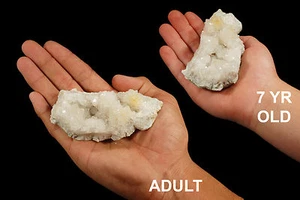 KEOKUK GEODE 2 1/2" 2-5 Oz Rocks and Minerals Healing Crystals Specimen Gemstone - Picture 1 of 5