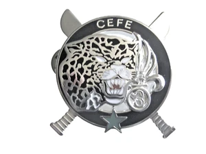 LEGION ETRANGERE 3° REI BREVET ARGENTE COMMANDO CEFE - ETOILE VERTE (NUMEROTE 4) - Picture 1 of 2