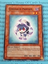 Chrysalis Pantail TAEV-EN007 Common Yu-Gi-Oh Card 1st Edition