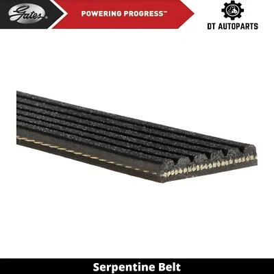 For 2001-2004 Ford Escape 2L L4 GAS Serpentine Belt Gates 2002 2003 - Image 1 of 4