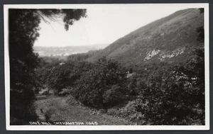 Postcard Okehampton Devon the Ball Hill RP by Chapman 11665 - Picture 1 of 2