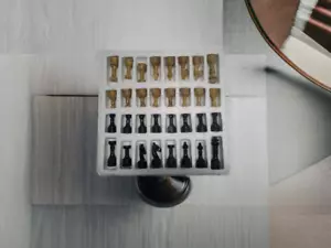 Fossil Korallenstein & Schwarzer Marmor Onyx Schachfiguren-Set - Nur Figuren Ges - Bild 1 von 5