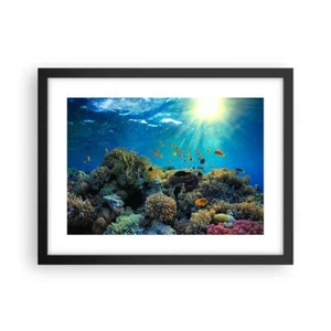 Cuadro Poster de Pared 40x30cm Marco Arrecife De Coral Océano Marítimo Art - Imagen 1 de 10