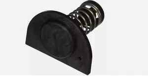 Kit de repuesto de válvula de derivación colector Pentair calentador de piscina y spa 77707-0001 - Imagen 1 de 1