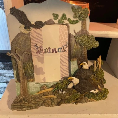 Eagles Picture Frame Scenic Nature Animals Decorative Home Decor 4x 6 - Image 1 of 4