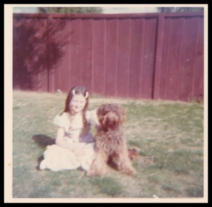 Old Color Photo LITTLE GIRL SITTING WITH BROWN DOG IN YARD BLURRY NOT FOCUSED - Bild 1 von 1