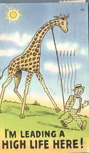 Postal cómica Man Walking a Giraffe - Have a High Time Here Blackwell OK 1945 - Imagen 1 de 2