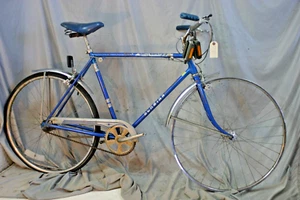 1979 Schwinn Collegiate3 Cruiser Bike Medium 55cm 5 Speed Steel USA Made/Shipper - Picture 1 of 13