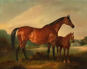 Vintage Horse and Foal Painting 8x10 Acid-Free Museum 100% Cotton Paper A51 - Picture 1 of 5