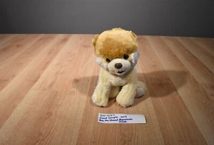 Gund Boo der rasierte Pommersche Sitzsack Plüsch (310-1237) - Bild 1 von 5