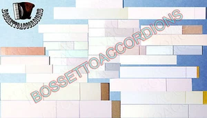 Accordion Reed Valves Plastic Synthetic Leather Vileda Ventile Akkordeons - Picture 1 of 32