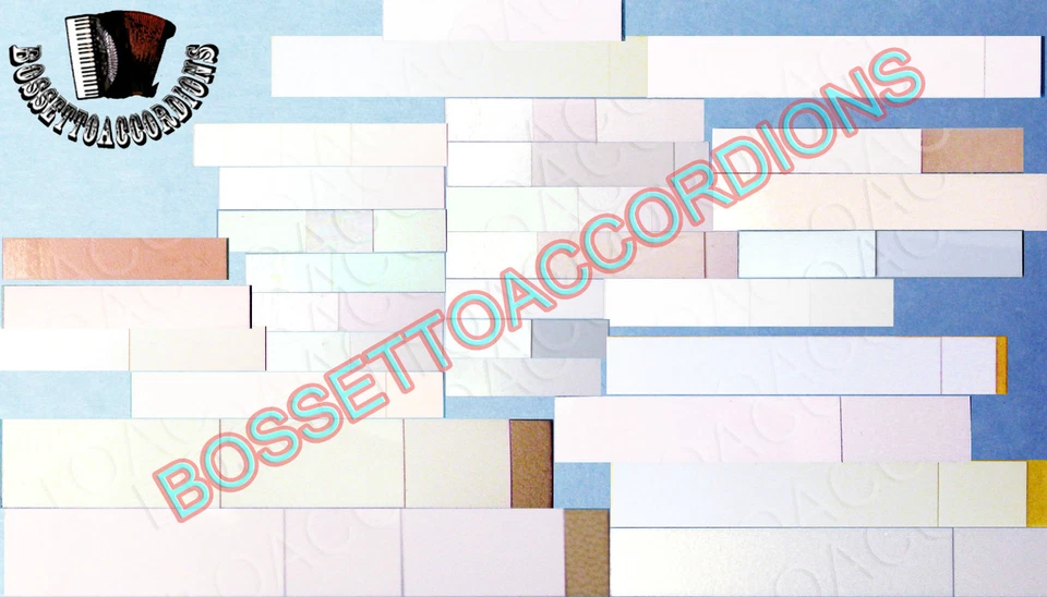 Válvulas de caña de acordeón plástico cuero sintético válvula Vileda acordeones Foto 1 de 1