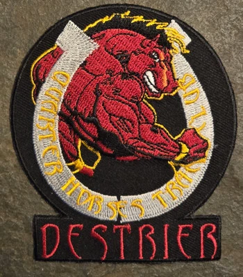 QUARTER HORSES TRACK CLUB DESTRIER PATCH 3"×4" COLOR HORSESHOE  - Image 1 of 2