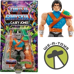 MOTU Origins Turtles of Grayskull Wave 3 Casey Jones Action Figure 2023 Mattel - Picture 1 of 9